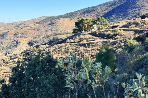 Finca i Tabernas, Almeria, Tabernas - € 2.345.000 | Ref: GVCFSA - foto 25
